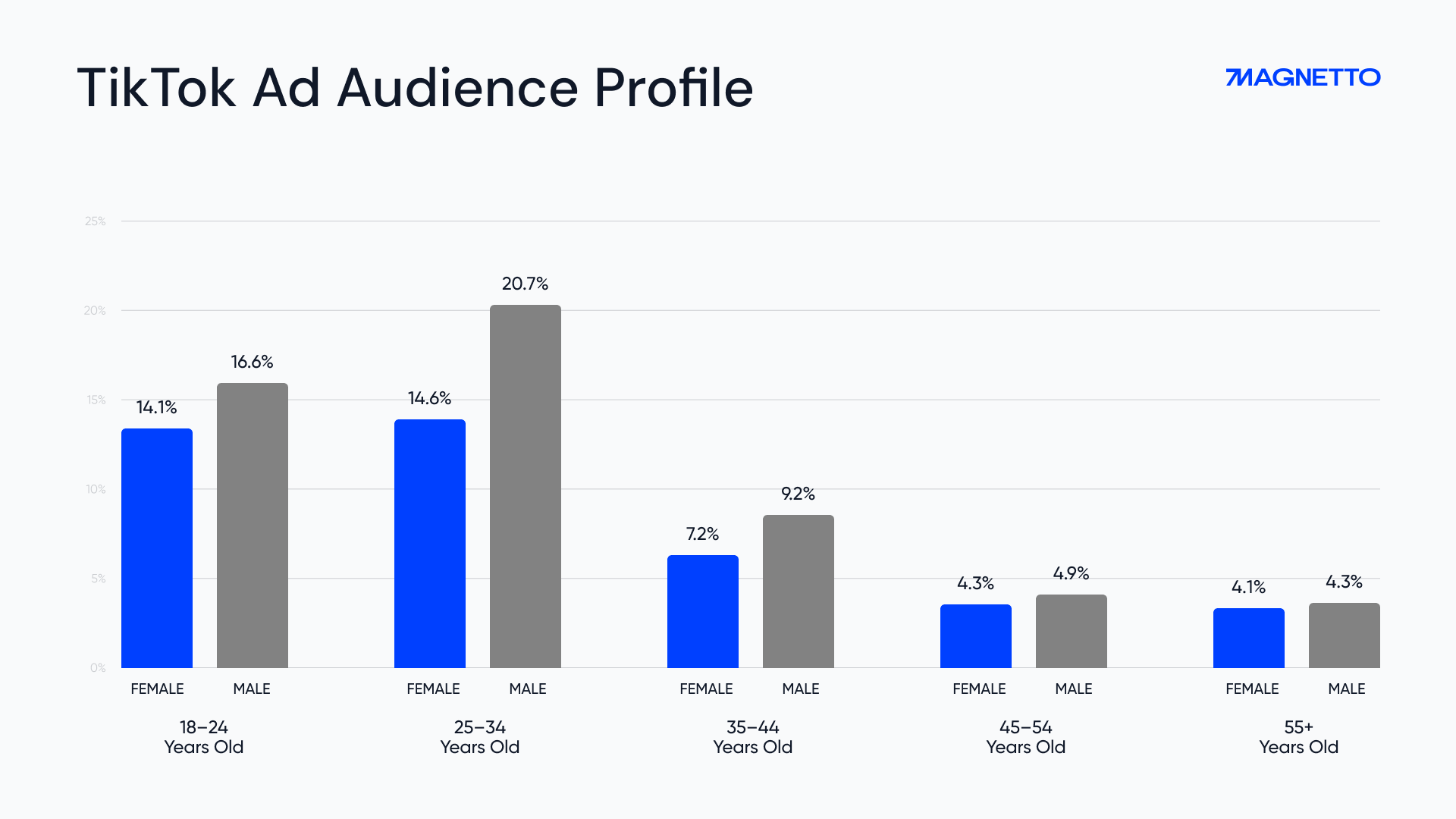 TikTok Ad Audience Profile